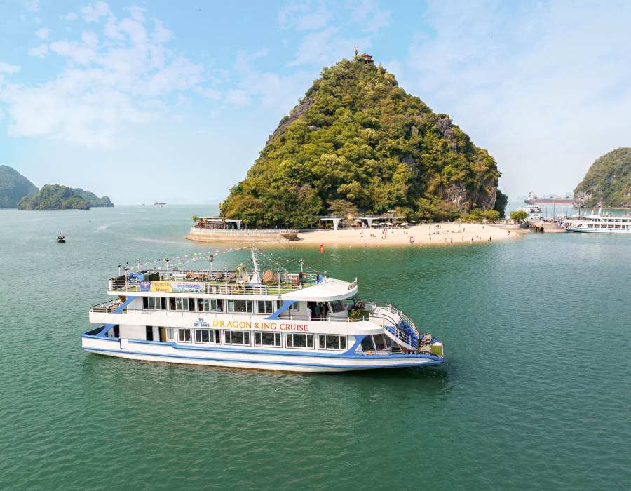 Dragon King Cruise 6