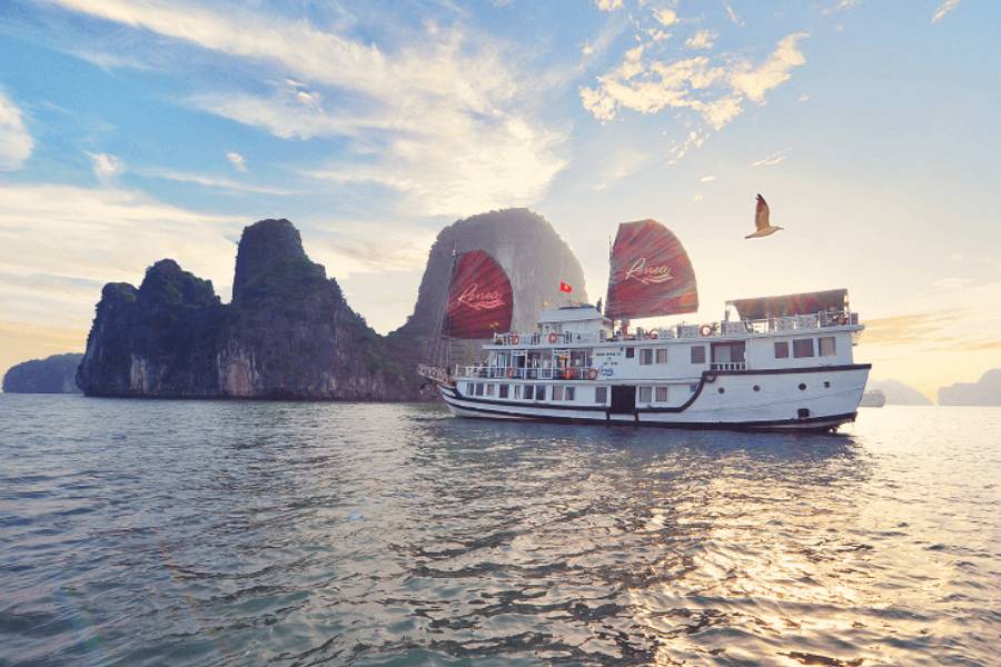 Renea Cruise Bai Tu Long Bay