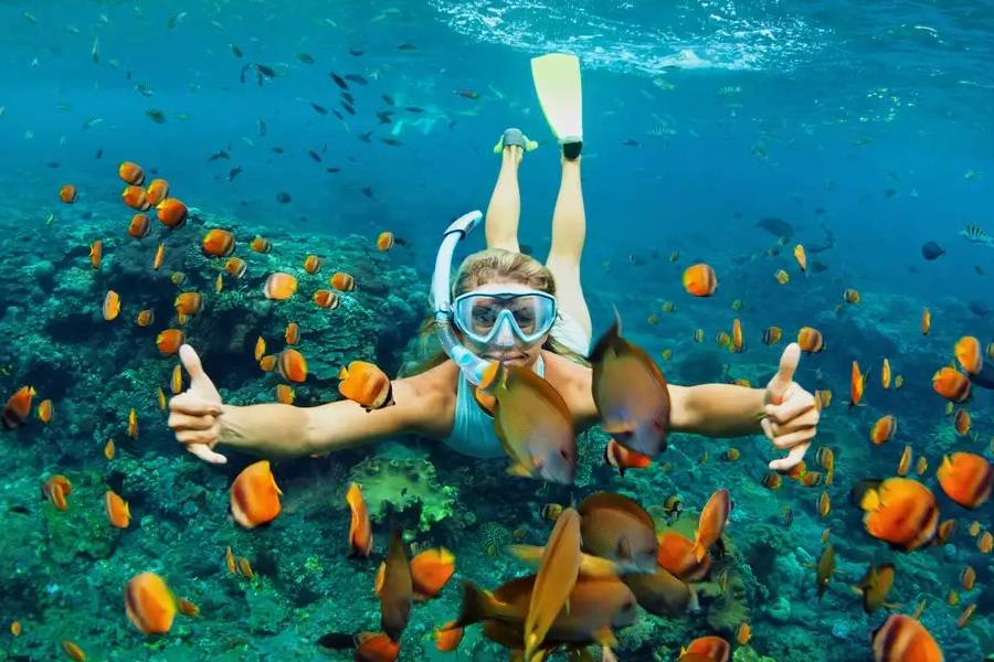 Snorkel and dive things to do at Halong Bay
