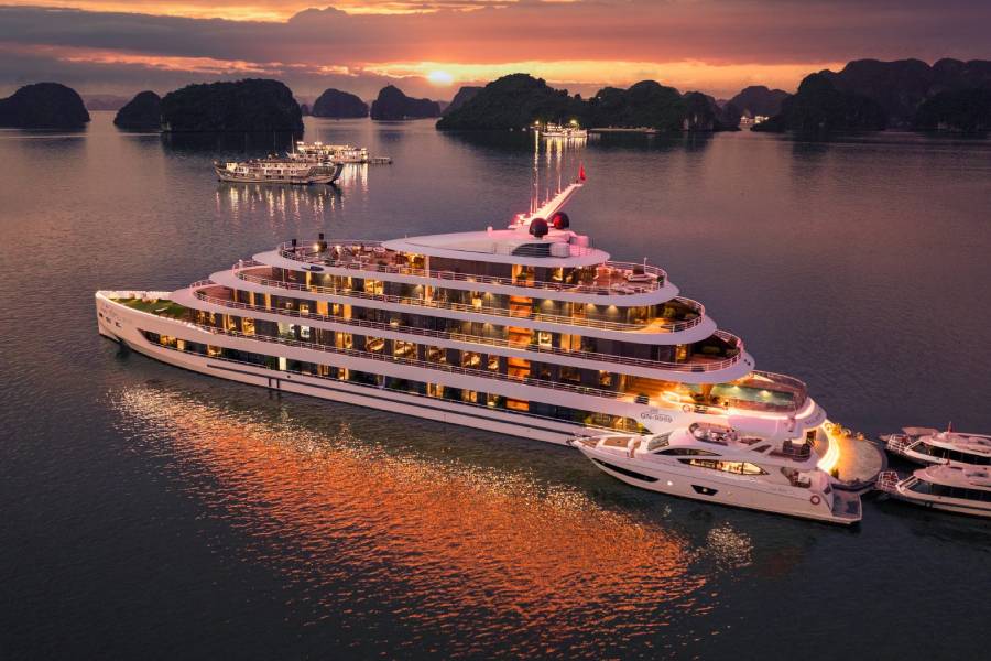 Sea Stars Cruise