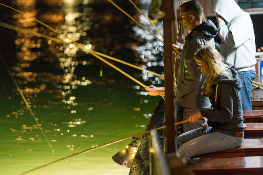 How to fish squid from a boat