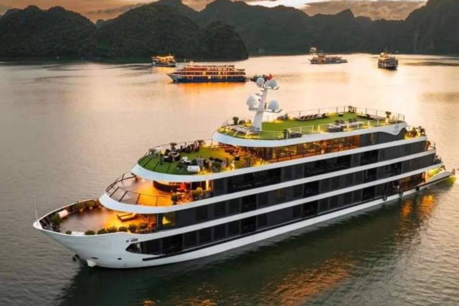 Venus Cruise