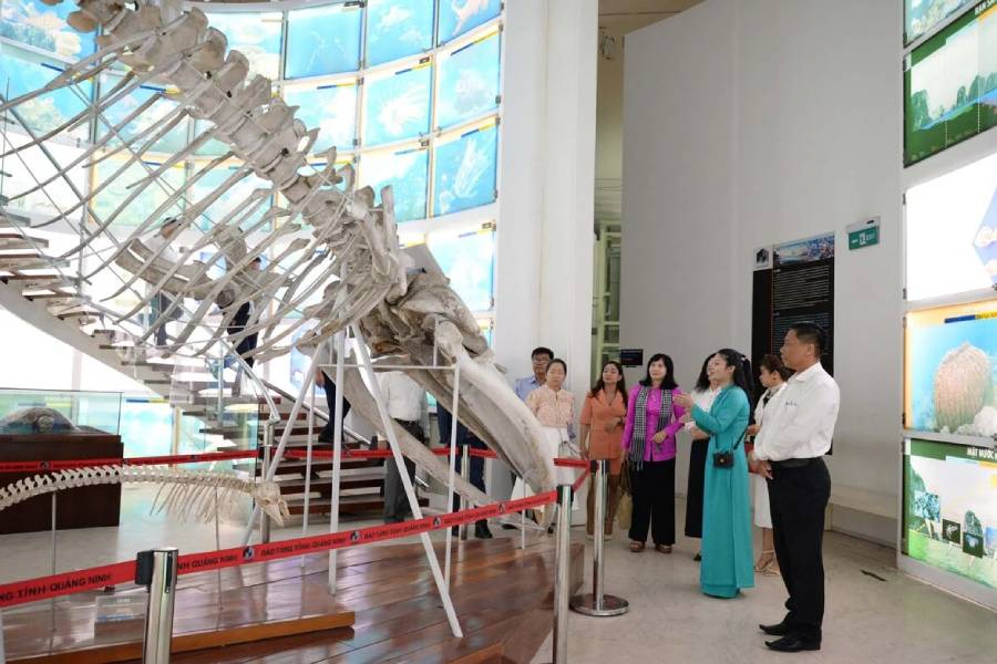 Quang Ninh Museum