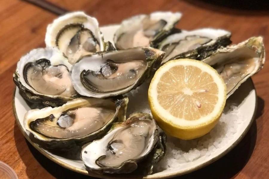 oysters in Halong