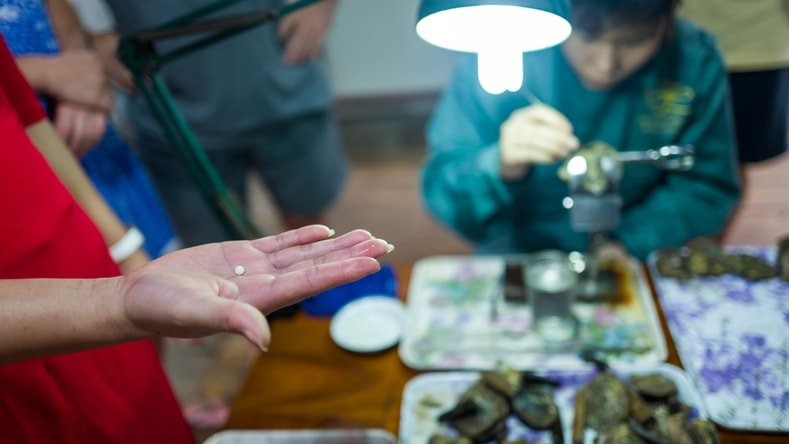 Visit a pearl farm in Vung Vieng