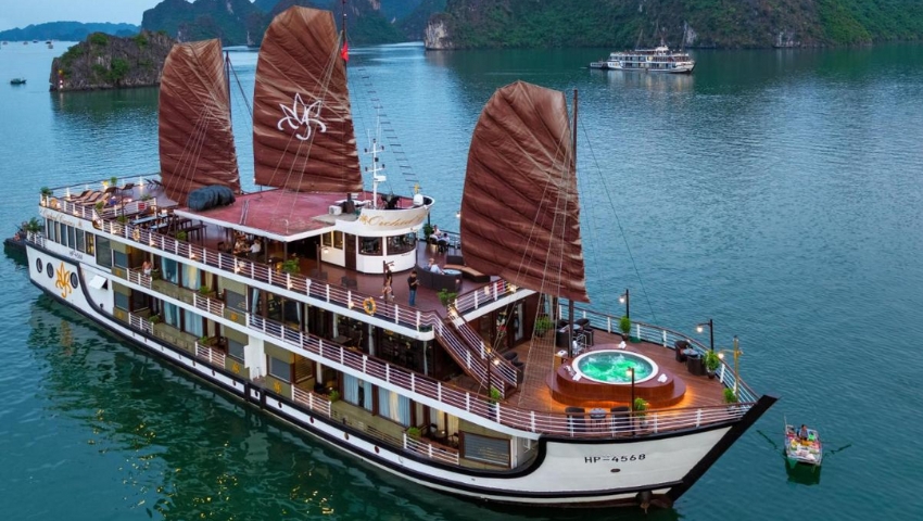 Orchid Classic 1 night cruise Halong Bay