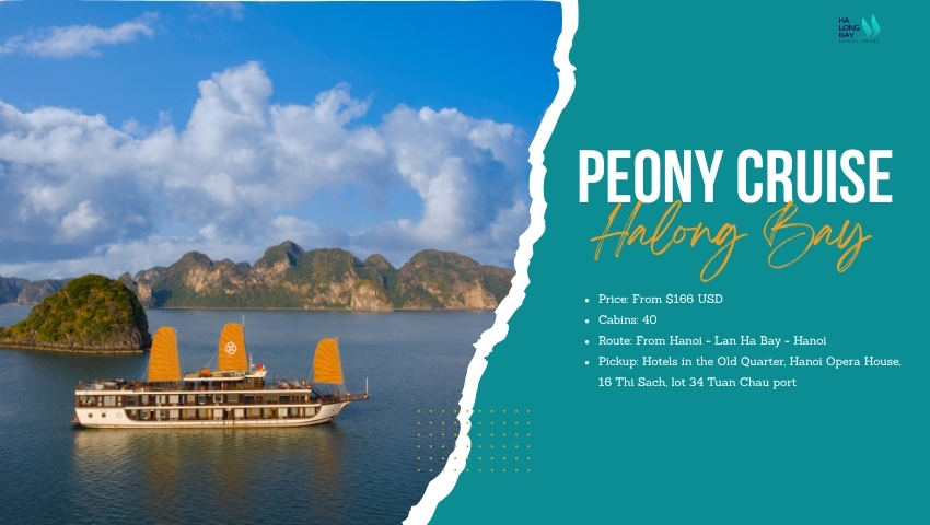Peony 1 night cruise in Halong Bay