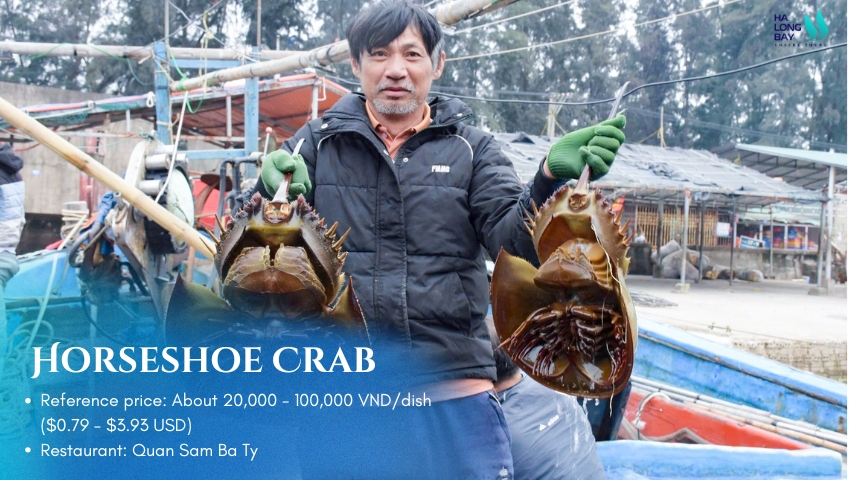 Learn about Horseshoe Crab dishes