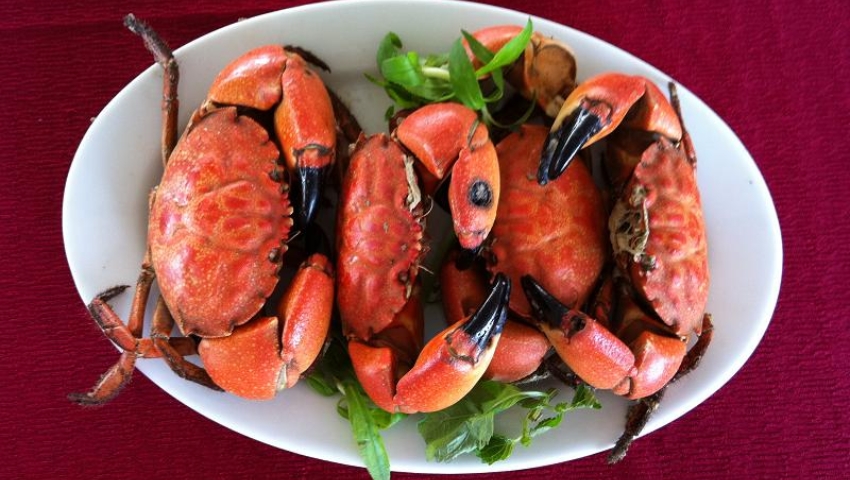 Learn about Cu Ky dishes