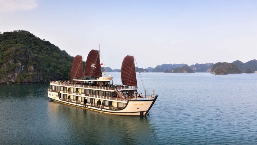 Learn about Orchid Trendy Cruise