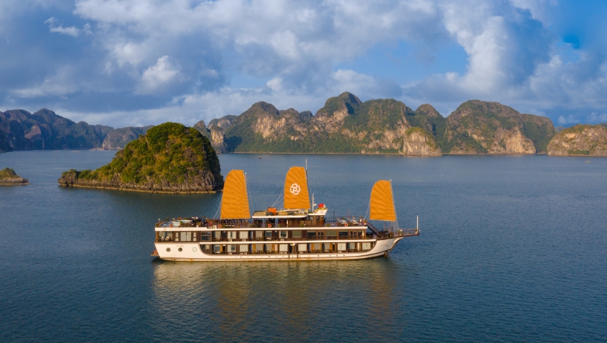 Learn about Peony Cruise