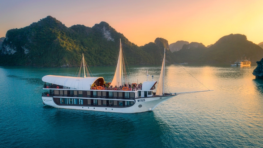Learn about Sena Cruise